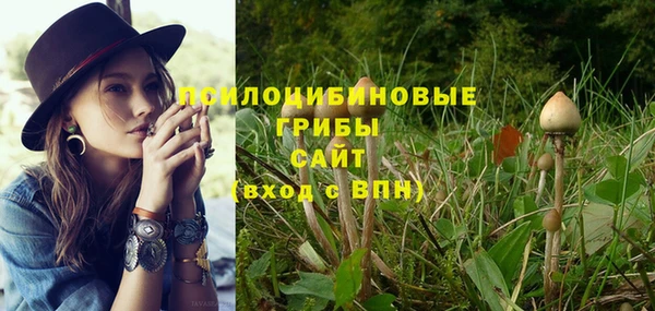 мяу мяу кристалл Медногорск