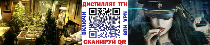 ТГК THC oil  Купить закладки  Энем 