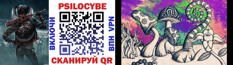 Галлюциногенные грибы Psilocybine cubensis Энем